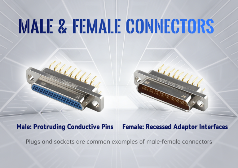 文章（公母头）(1)(1)